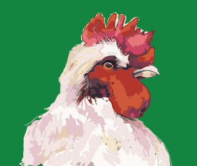 Chicken